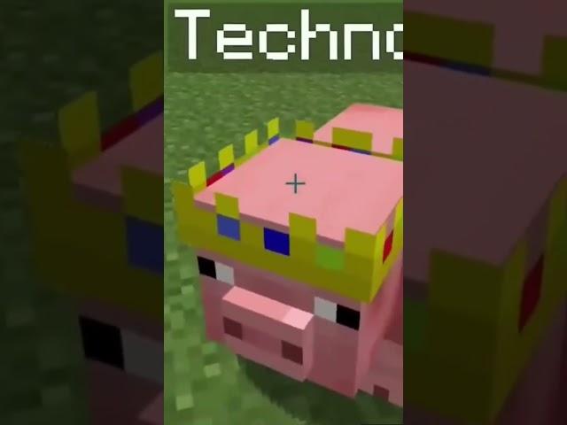 name tag in Minecraft for pig to get technoblade crown