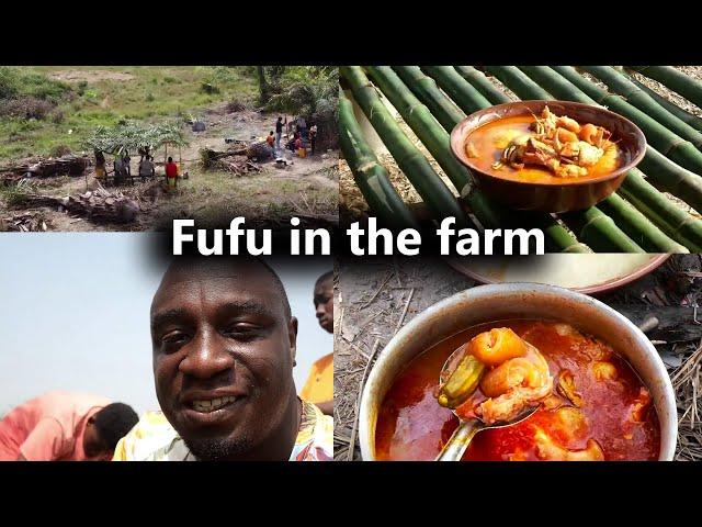 Fufu In the Farm | African Traditional Cooking Recipe