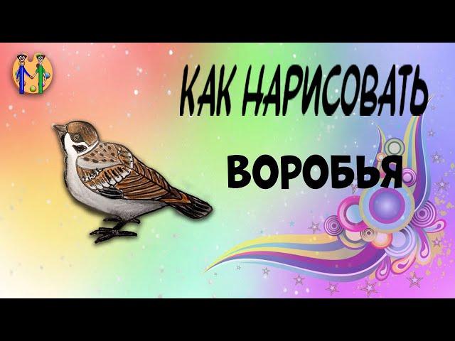 Как нарисовать воробья. Онлайн-школа рисования "Малевашки"