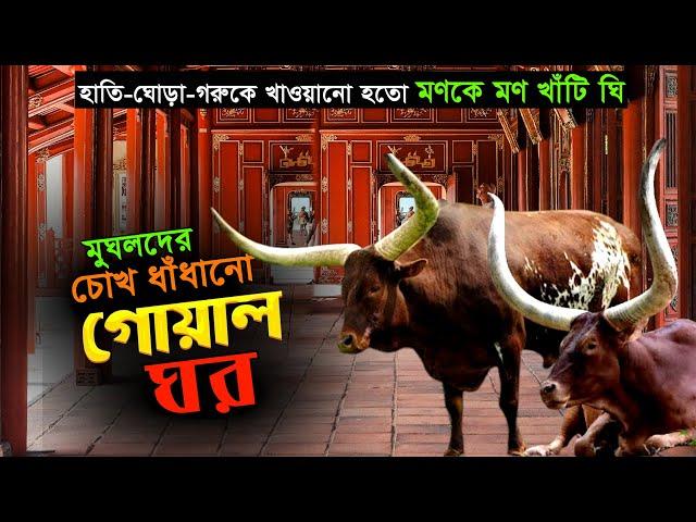 মুঘলদের চোখ ধাঁধানো গোয়ালঘর | যেন এক রাজপ্রাসাদ | হাতি ঘোড়াকে খাওতো মণকে মণ খাঁটি ঘি | Mughal Empire