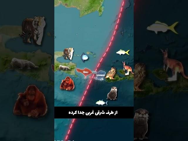 خط عجیب کره زمین !