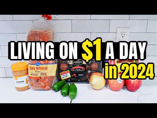 Eating for $1 a Day | Full Week of Cheap and Healthy Meal Ideas You Need to Try in 2024