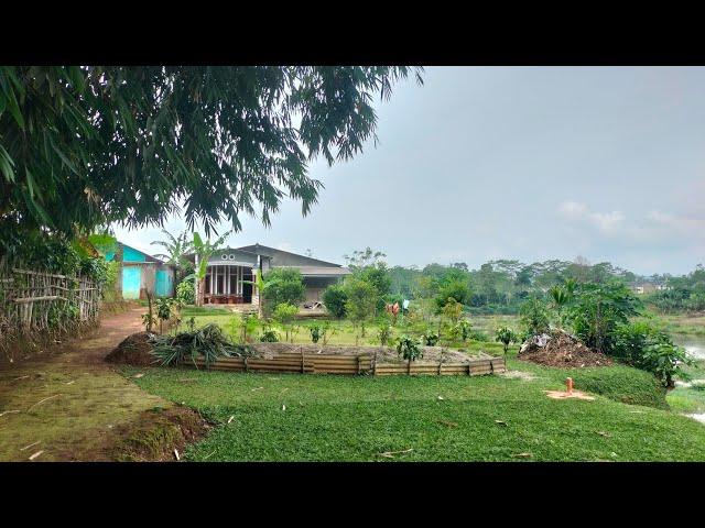 bangun rumah di kebun bikin betah||adem tentram nyaman||kampung asbes@Dsbiler