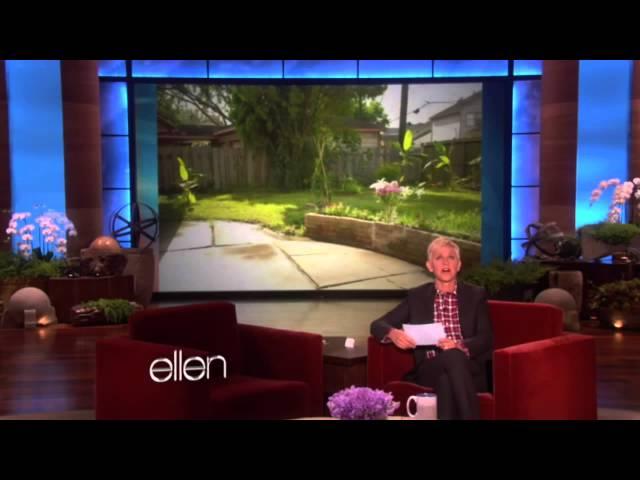 Ellen Real Estate Humor