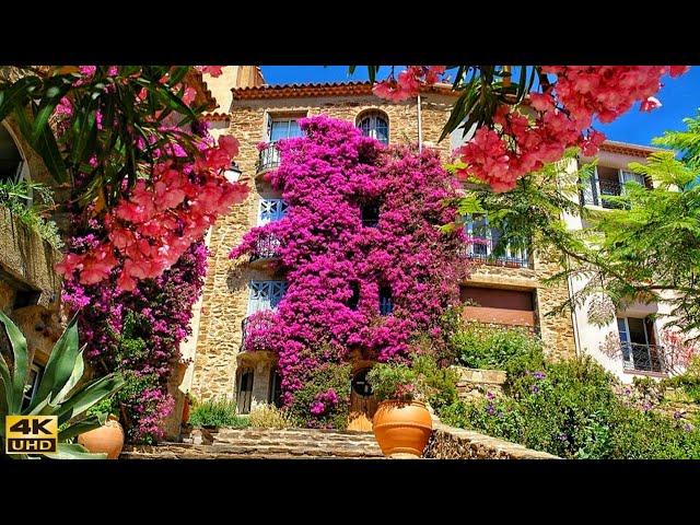 Bormes les Mimosas - The Most Beautiful Villages in France - A Flowery Village Full of Charm