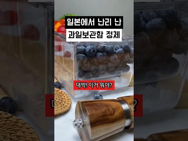 일본에서 난리 난 과일 보관함