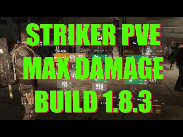 Striker PVE max damage build Division 1.8.3