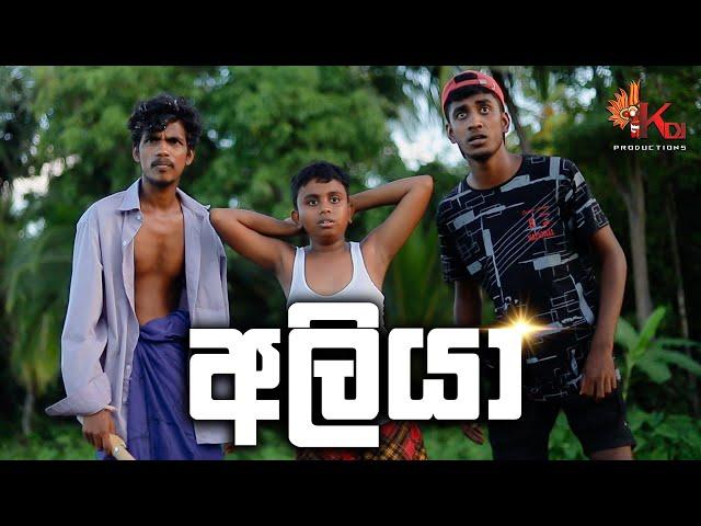 අලියා | ALIYA | KDJ PRODUCTIONS ( @kdjdiaries  )