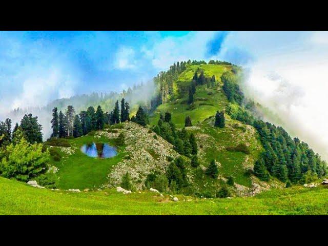 Mushkpuri Mountain | Nathia Gali | Donga Gali | Explore Pakistan 