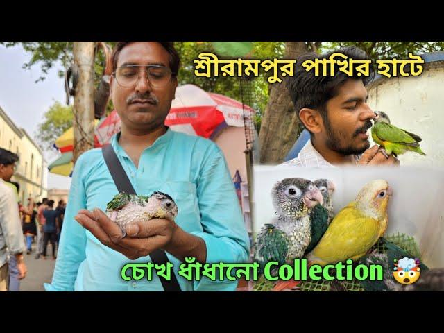 Serampore Pet Market | Recent Bird Price Update | Premium Quality Red Sun Conure, Lorikeet Etc.