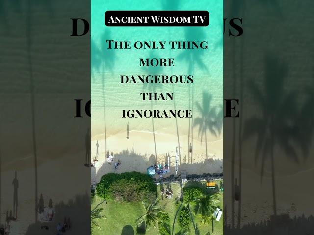 Ancient Wisdom TV: The Best Videos On History, Mythology, Philosophy, Health, Wealth and Humour