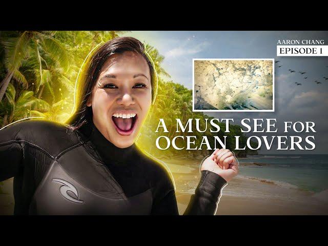 Aaron Chang Ocean Art Gallery Episode 1: A MUST-SEE For Ocean Lovers & Surfers