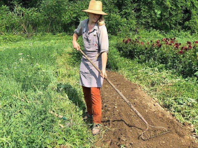 Tips for Sowing Carrots