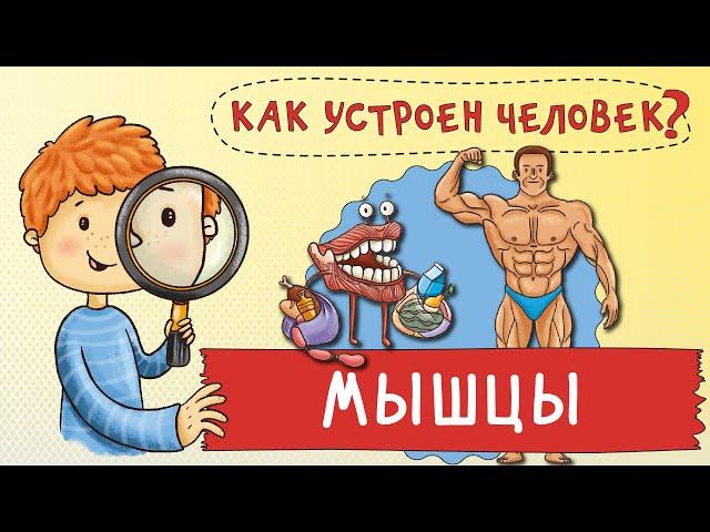 Как работают мышцы? Путешествие по вашему телу. Развивающий мультик для детей.