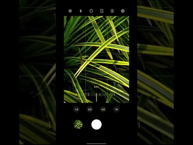 Simple Mobile Photography Idea #photography #mobilephotography #editing #nature #photo #photographer