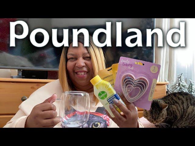 *NEW IN* POUNDLAND HAUL | STORAGE, ORGANISATION & HOME