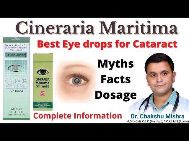 Cineraria Maritima Best Homeopathic eye drops for Cataract. Cineraria Homeopathic medicine #RxHpathy