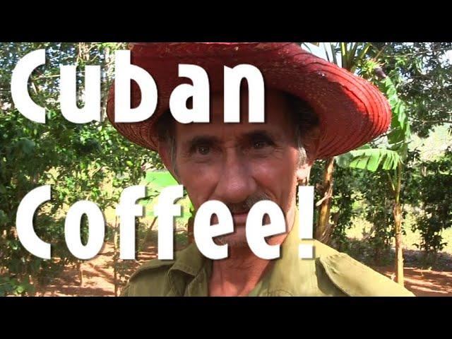 Authentic Cuban Coffee! ️#cuba #culture #history #coffee