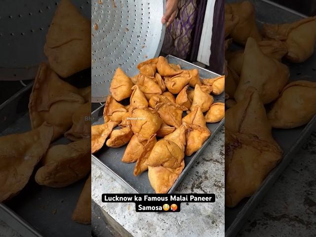 Lucknow ka Famous Malai Paneer Samosa|| Indian Street Food