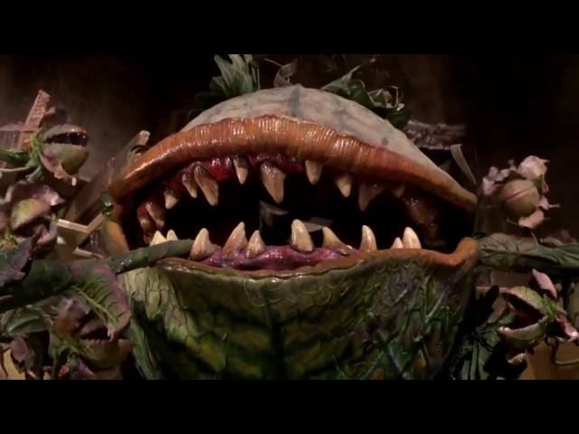 Plant vore & mawshots compilation (Little Shop of Horrors)