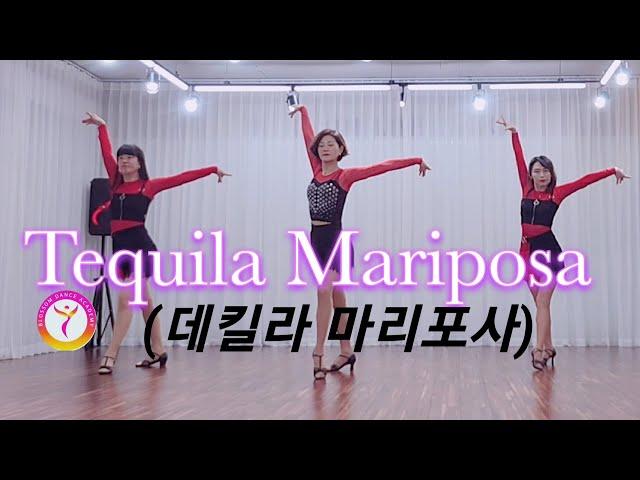 [블라썸] Tequila Mariposa(데킬라 마리포사) Line dance #데킬라마리포사 #오세인