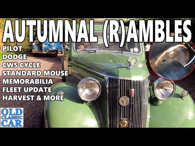 The "BUSY DOING NOTHING" Autumn ramble about classic cars & more