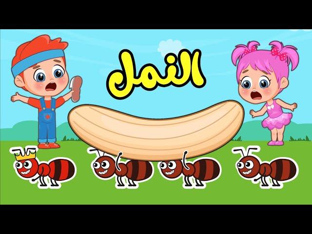 أغنية النمل | اغاني اطفال عالم فلافي | Fluffy World