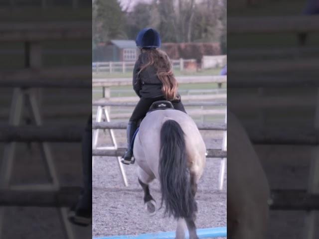 Louis got scared  #natalia #snowballfarm #louis #pony #horseriding #horse #showjumping