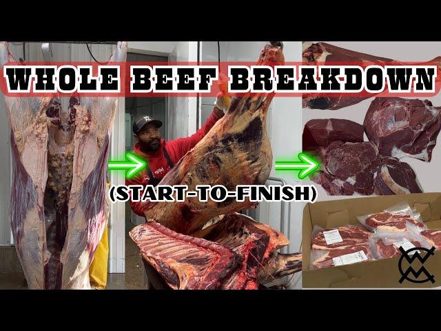 Cutting an entire Beef (Start-to-Finish) | Processing Facility