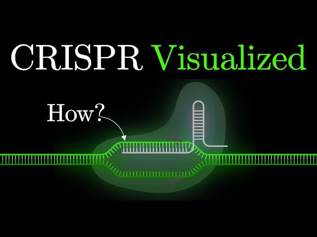 But what is CRISPR-Cas9? An animated introduction to Gene Editing. #some2