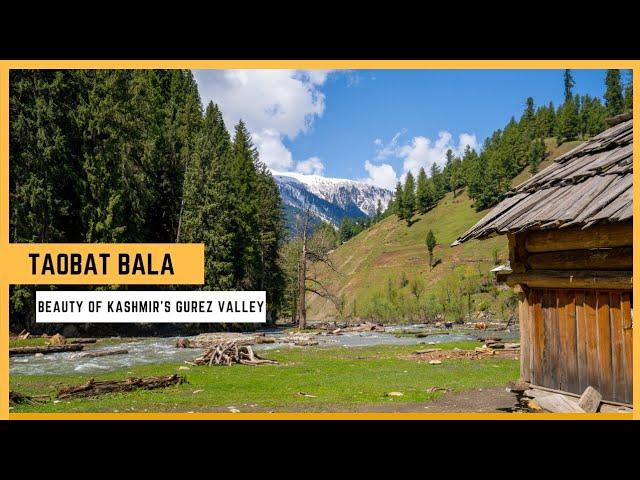 Taobat Bala: The Ultimate Travel Guide | Beauty of Kashmir's Gurez Valley [4K] Ultra HD