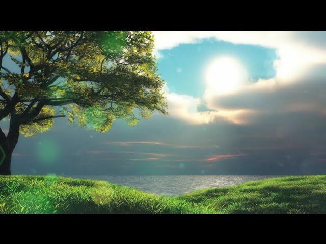 Beautiful nature landscape Tree lake clouds Sunshine - Animated background wallpapers loops videos