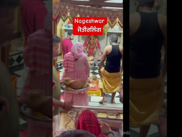 Nageshwar jyotirling ||#nageshwarjyotirling #trendingshorts #12jyotirling #shivbhajan #song #music