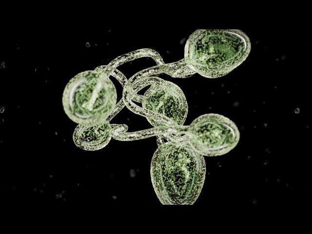 Specimen "B" - CGI 3D animation - produced with Houdini + Redshift