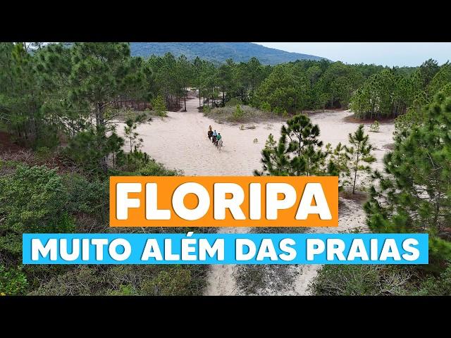 FLORIPA MUITO ALÉM DAS PRAIAS: roteiro completo pela ILHA DA MAGIA