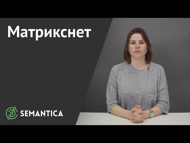 Матрикснет: что это такое и зачем он нужен | SEMANTICA