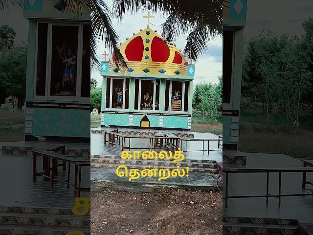 காலைத் தென்றல்!