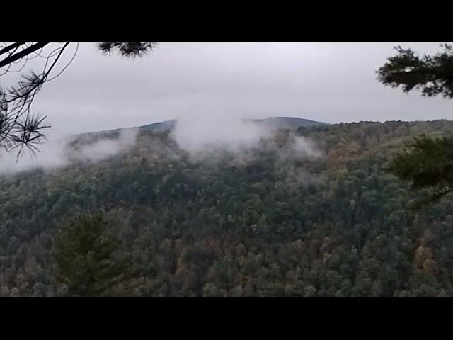 fog laying in at the Pennsylvania Grand Canyon