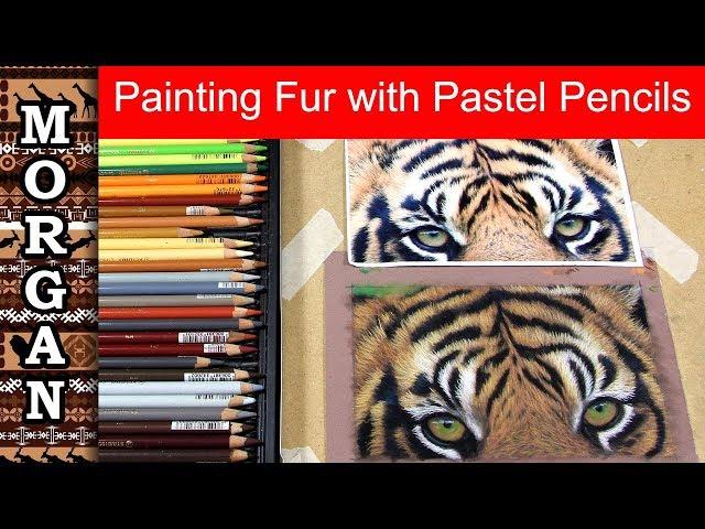 Painting fur with pastel pencils - Tiger - Jason Morgan wildlife art