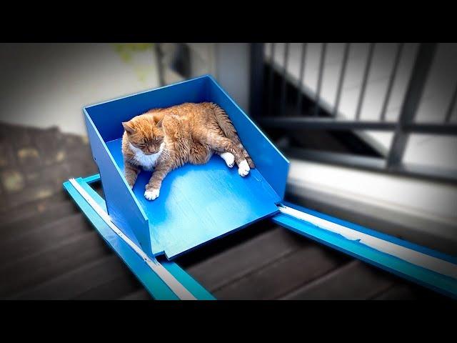 I Built an Elevator for My Cat