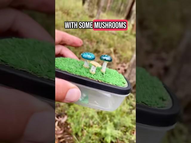 Cache inside a Cache #Geocaching