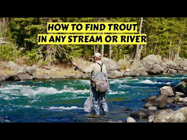 How to Find Trout in Rivers & Streams Anywhere