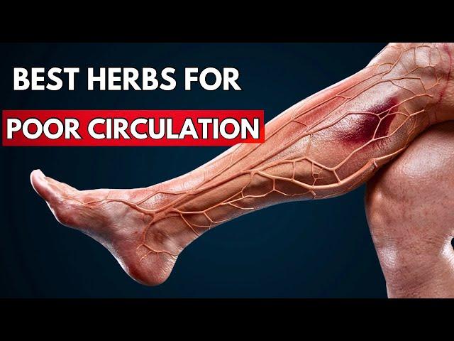 Doctors Quietly Use These Herbs to Boost Leg & Foot Circulation!