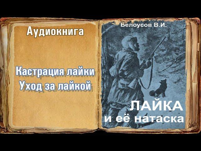 "Кастрация лайки.  Уход за лайкой" "Лайка и её натаска" Белоусов В.И