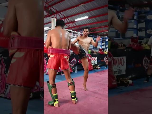 Speed or power? Simple answer: BOTH!  YOKKAO Fight Team finisher #shorts