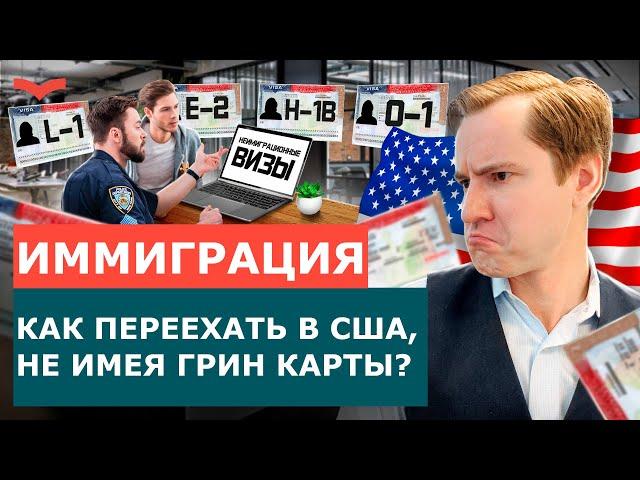 НЕИММИГРАЦИОННЫЕ ВИЗЫ США | ИММИГРАЦИЯ В США – КАК ПЕРЕЕХАТЬ В США | ВИЗОВЫЙ АДВОКАТ США