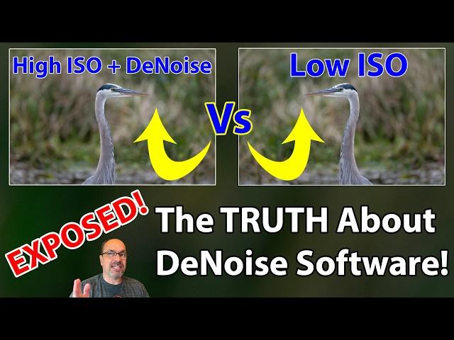 Low ISO VS. High ISO + Denoise:  WARNING: You NEED To See This Before Your Next Shoot!