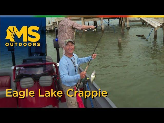 Crappie Fishing at Eagle Lake - Vicksburg, Mississippi