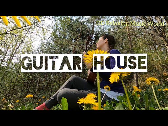 Guitar House |Calm , relax, Sleep Music | DD Relaxing Music World|