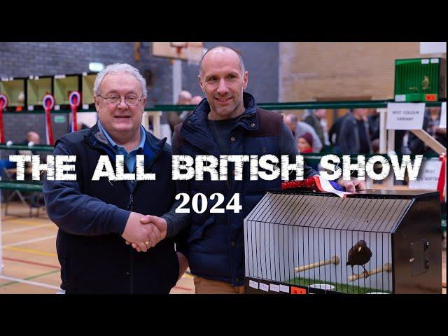 The All British Show 2024  Featuring The Norwich Plainhead Club